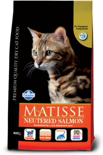 Matisse Adult Neutered Salmon